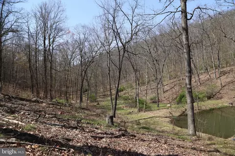 Other - 4423 High Knob Rd, Old Fields, WV 26845 photo 10 of 10
