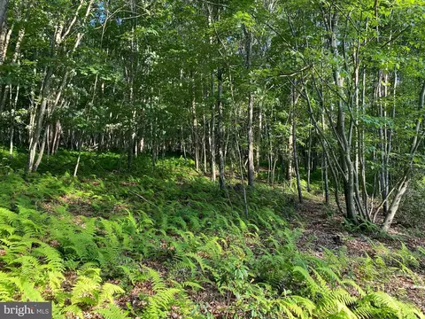 2 28 Ac Thorn Btm, Lost River, WV 26810