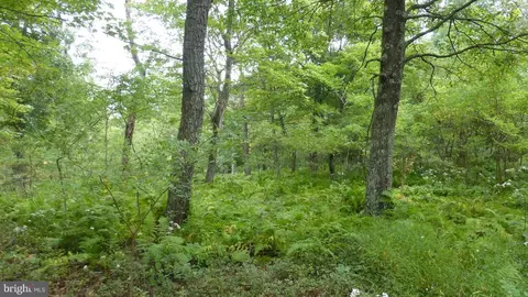 lot18 Top Of The Mountain Rd, Moorefield, WV 26836