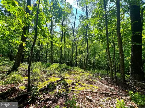 14 High Knob Road, Old Fields, WV 26845 photo 13