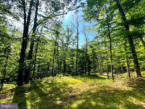 14 High Knob Road, Old Fields, WV 26845 photo 26