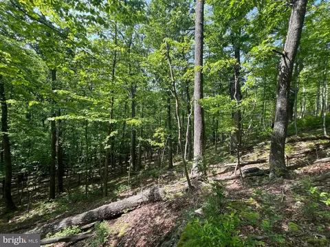 14 High Knob Road, Old Fields, WV 26845 photo 16