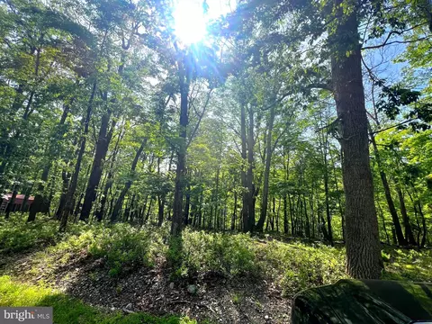 14 High Knob Road, Old Fields, WV 26845 photo 23