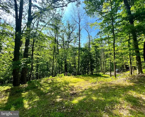 14 High Knob Road, Old Fields, WV 26845 photo 24