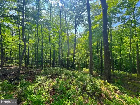 14 High Knob Road, Old Fields, WV 26845 photo 20