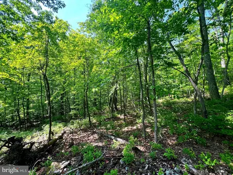 14 High Knob Road, Old Fields, WV 26845 photo 12