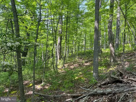 14 High Knob Road, Old Fields, WV 26845 photo 21