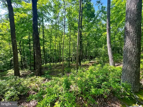 14 High Knob Road, Old Fields, WV 26845 photo 15