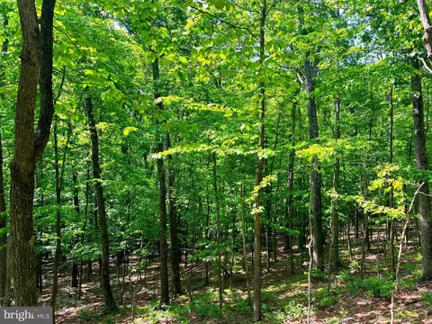 14 High Knob Road, Old Fields, WV 26845 photo 17
