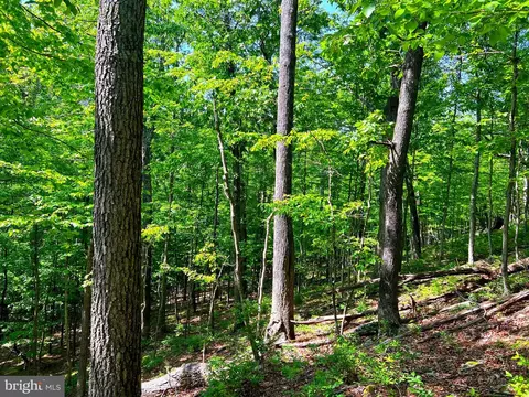 14 High Knob Road, Old Fields, WV 26845 photo 19