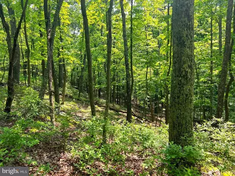 14 High Knob Road, Old Fields, WV 26845 photo 18