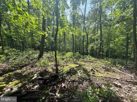 14 High Knob Road, Old Fields, WV 26845 photo 14