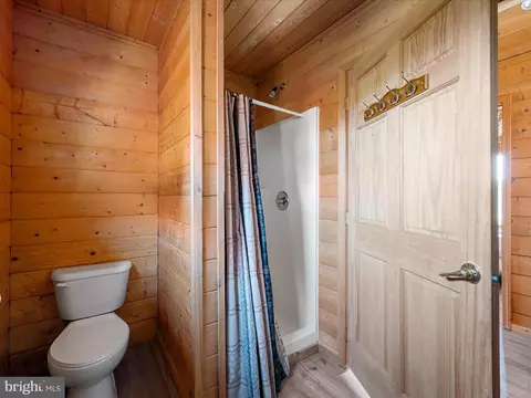Bath - 489 Sugar Maple Rd, Mathias, WV 26812 photo 6 of 6