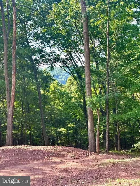 lot302 Winterberry Dr, Moorefield, WV 26836