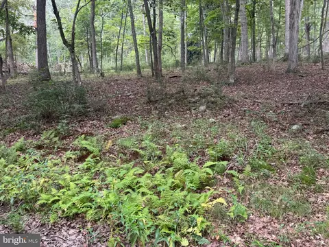 lot9 Paradise Road Paradise Rd, Wardensville, WV 26851