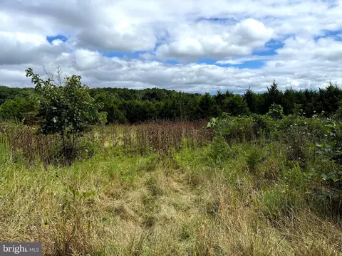 425 Wisteria Ln, Old Fields, WV 26845 photo 10