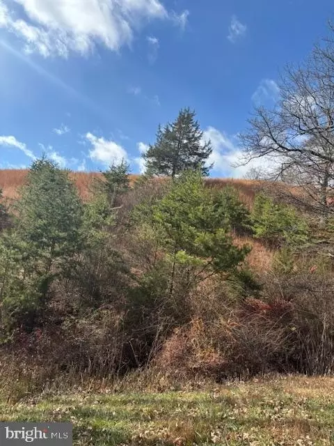 Ewing Drive, Baker, WV 26801