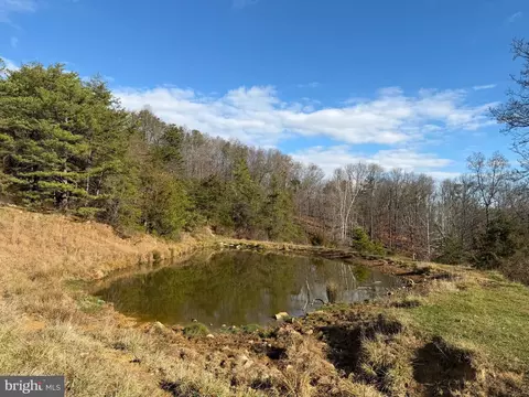 34 58 Ac Off Sperrys Run Rd, Baker, WV 26801 photo 11
