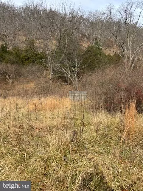 866 Wildlife Dr, Lost City, WV 26810
