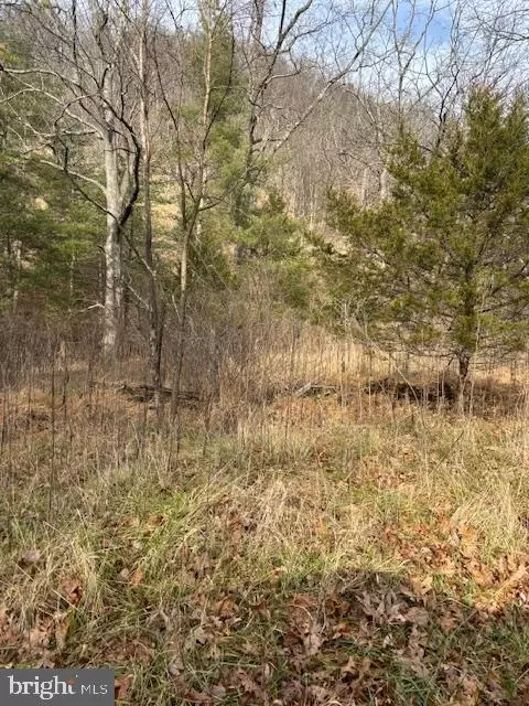 lot14 Wildlife Dr, Lost City, WV 26810