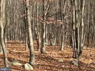 Hutter Road, Fisher, WV 26818