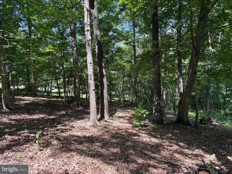 16 Rolling Acres Dr, Old Fields, WV 26845 photo 6