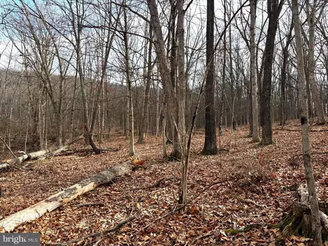 16 Rolling Acres Dr, Old Fields, WV 26845 photo 9