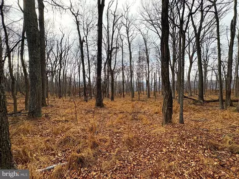 2780 High Knob Rd, Old Fields, WV 26845 photo 8