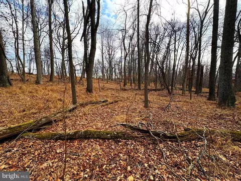 2780 High Knob Rd, Old Fields, WV 26845 photo 15