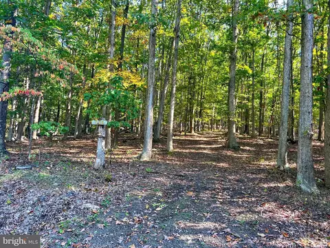 Other - 1604 High Knob Rd, Old Fields, WV 26845 photo 35 of 64