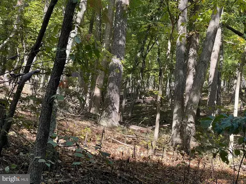 Other - 1604 High Knob Rd, Old Fields, WV 26845 photo 47 of 64