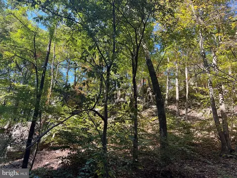 Other - 1604 High Knob Rd, Old Fields, WV 26845 photo 43 of 64