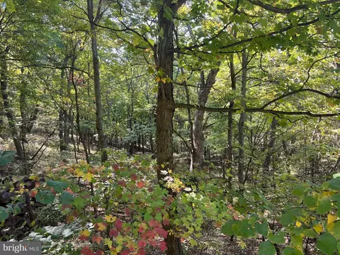 Other - 1604 High Knob Rd, Old Fields, WV 26845 photo 50 of 64