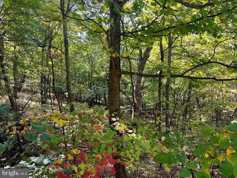 Other - 1604 High Knob Rd, Old Fields, WV 26845 photo 51 of 64
