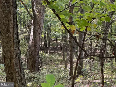 Other - 1604 High Knob Rd, Old Fields, WV 26845 photo 49 of 64
