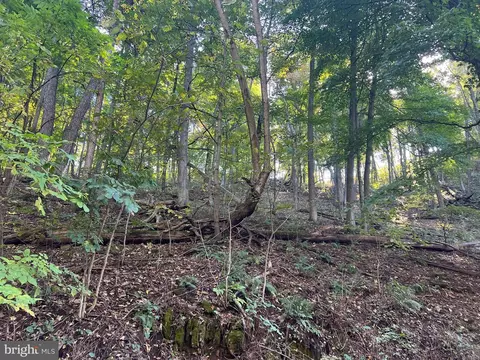 Other - 1604 High Knob Rd, Old Fields, WV 26845 photo 45 of 64