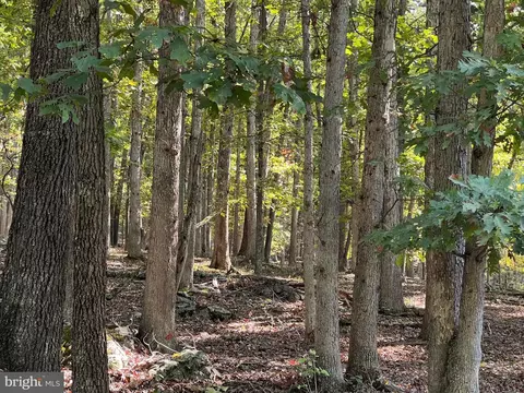 Other - 1604 High Knob Rd, Old Fields, WV 26845 photo 39 of 64
