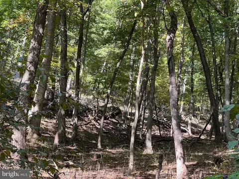 Other - 1604 High Knob Rd, Old Fields, WV 26845 photo 48 of 64