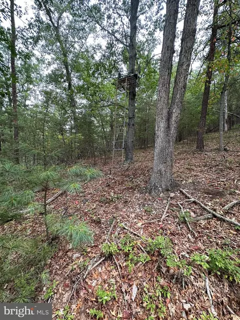 6 Ac Mountain Acres Loop, Moorefield, WV 26836 photo 13