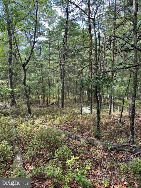 6 Ac Mountain Acres Loop, Moorefield, WV 26836 photo 11