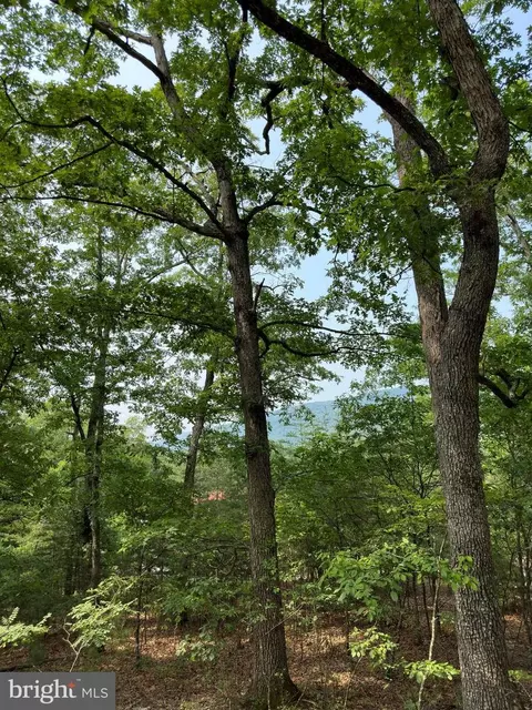 6 Ac Mountain Acres Loop, Moorefield, WV 26836 photo 9