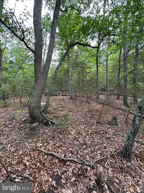 6 Ac Mountain Acres Loop, Moorefield, WV 26836 photo 15
