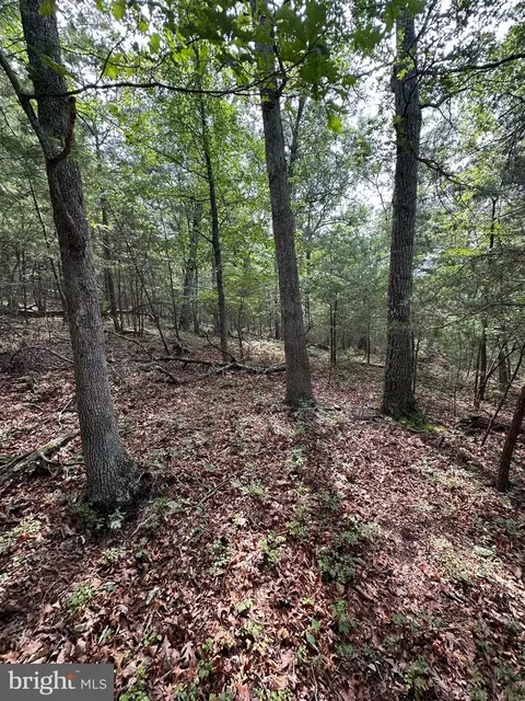 6 Ac Mountain Acres Loop, Moorefield, WV 26836 photo 16