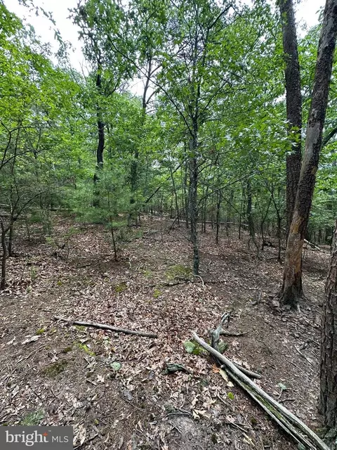 6 Ac Mountain Acres Loop, Moorefield, WV 26836 photo 18