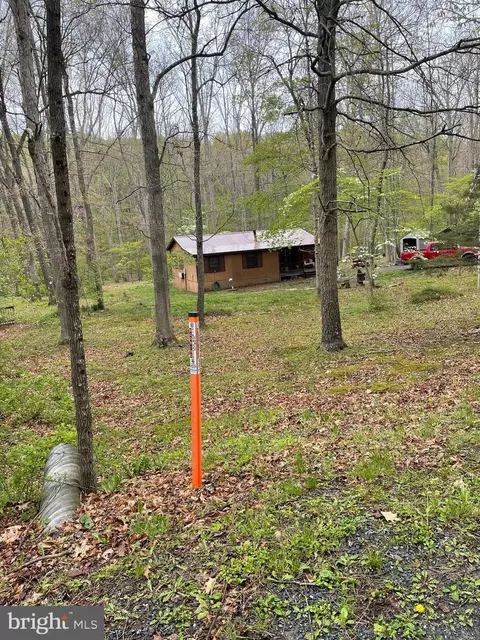 462 Trout Stream Rd, Lost City, WV 26810