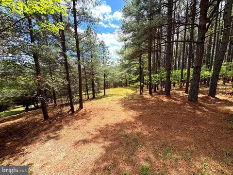 20 74 Ac Lot 10 Ashton Woods, Moorefield, WV 26836