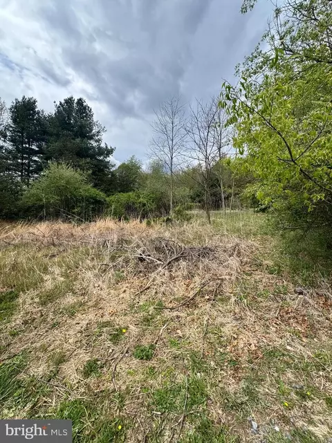 Middle Cove Road, Mathias, WV 26812