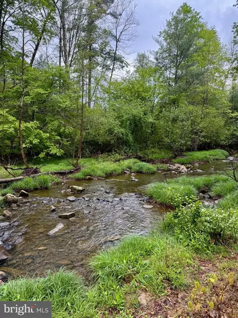 lot S 1 2 Trout Run Rd, Wardensville, WV 26851