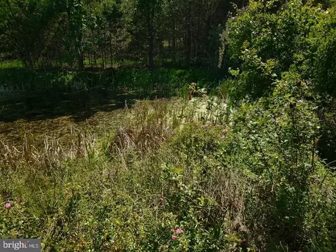 Other - 312 Tanager Dr, Old Fields, WV 26845 photo 26 of 33