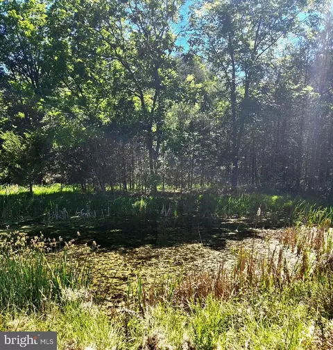 Other - 312 Tanager Dr, Old Fields, WV 26845 photo 25 of 33